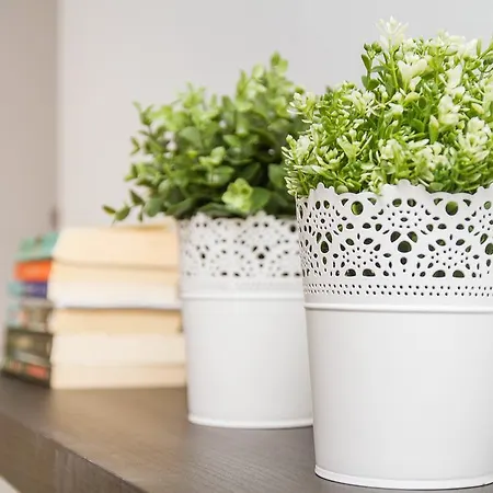 Appartement Rustic Mezquitilla Málaga
